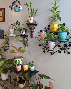 Pg For Rent in Vikash Khand