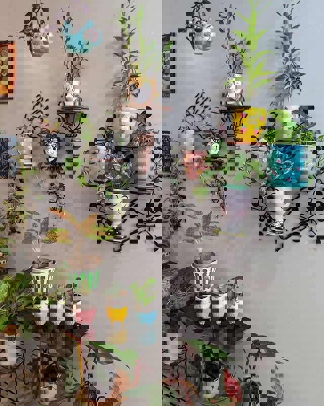 Pg For Rent in Navika Girls Pg 