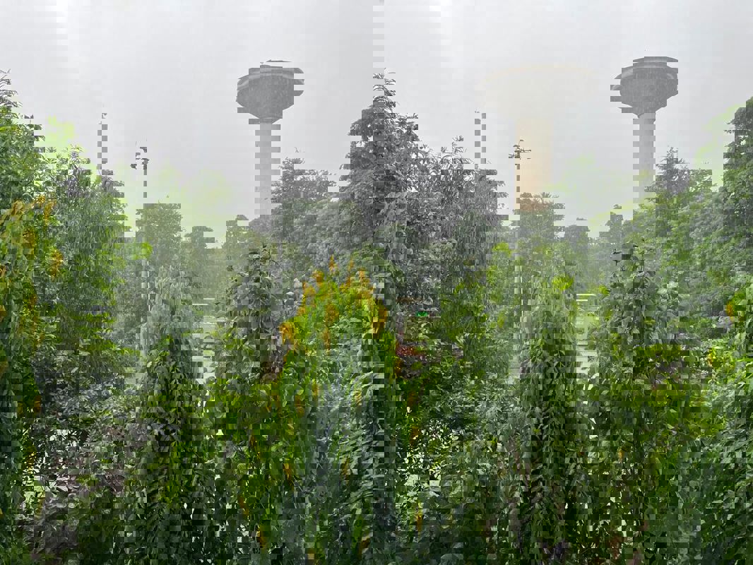 2 BHK + Pooja Room,Extra Room Builder Floor For Sale in Unitech South City II