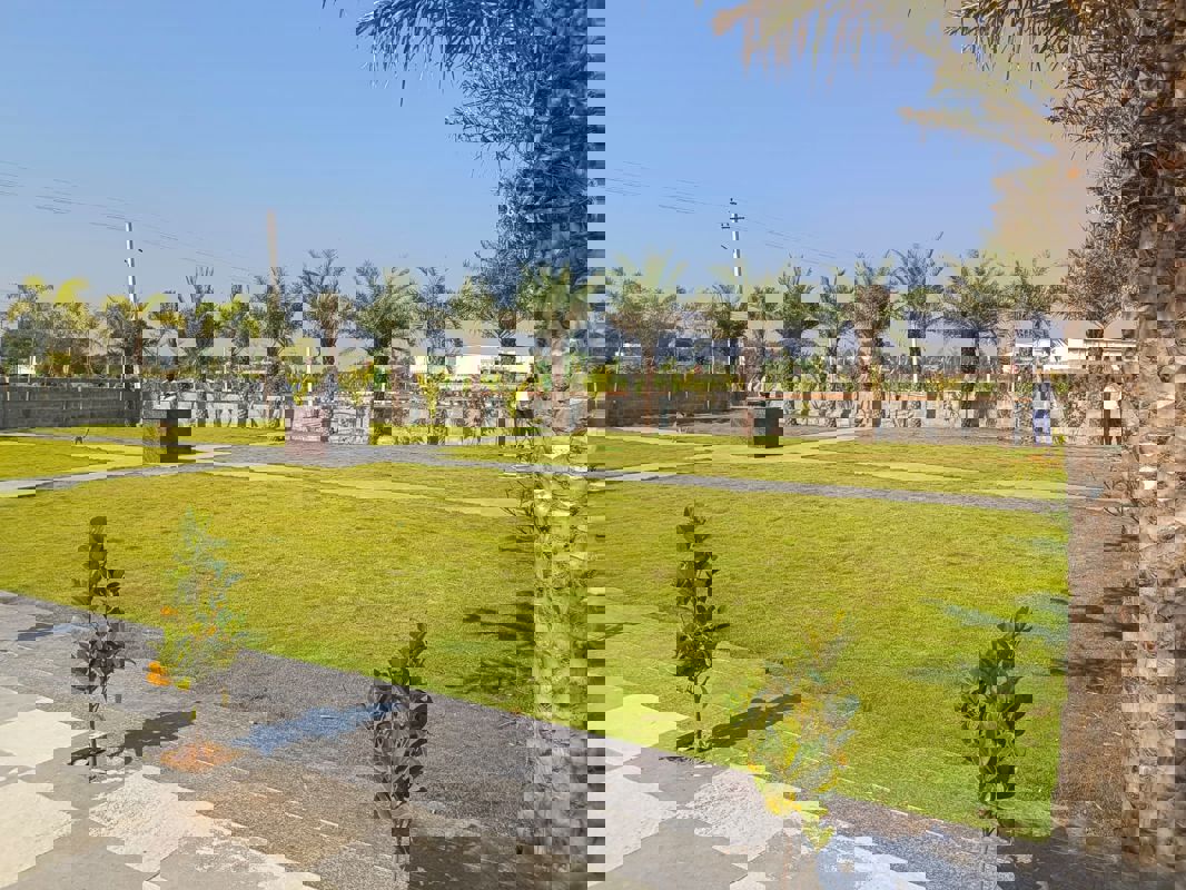 Plot For Sale in Nature City Shadnagar