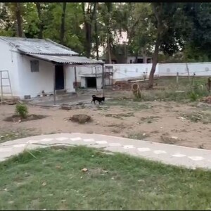 Plot Area in  Plot at Tadepalli – for Sale