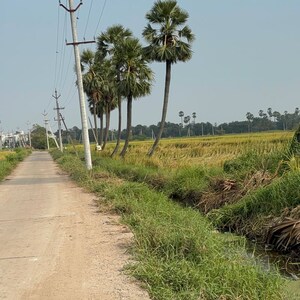Plot Area in  Plot at Kunchanapalli – for Sale