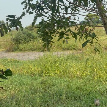 Plot Area in  Plot at Kunchanapalli – for Sale