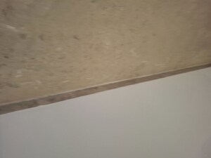 Room in 3 BHK Apartment at Banjara Hills – for Rent