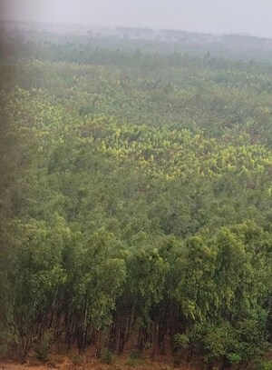 2 BHK Apartment – Garden View at My Home Tridasa, Tellapur - for Sale