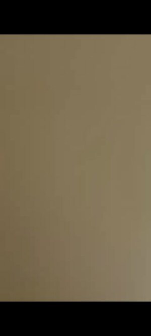 1 BHK Apartment For Rent in Goregaon West View CHS, Goregaon West