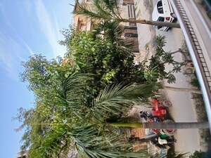 2 BHK Builder Floor – Exterior View View at Auram Floor, South City 2 - for Rent