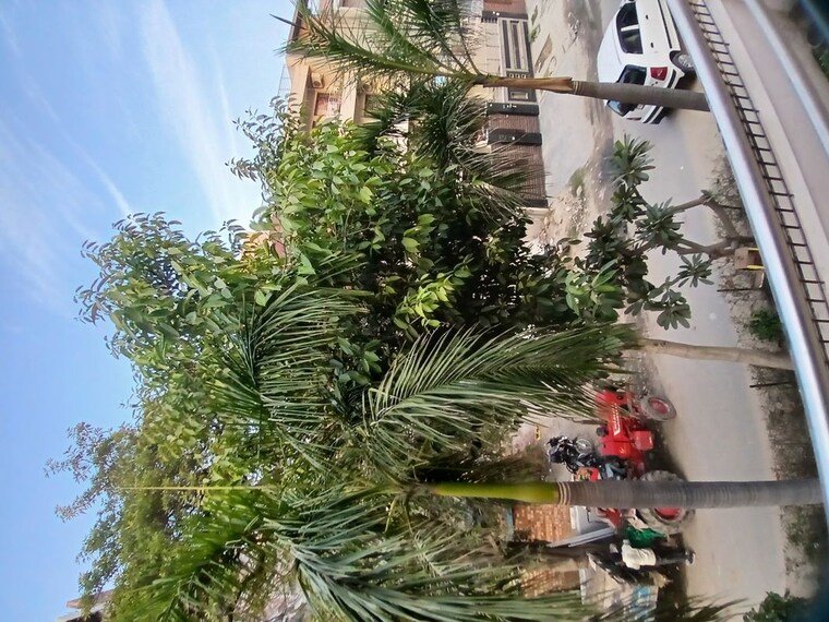 Exterior View, auram-floor 2 Bedroom 1800 Sq.Ft. Builder Floor In South City 2 Gurgaon 9736657