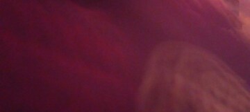  Shop For Sale in Aarohi Sahara Plaza Extension, Vikash Khand