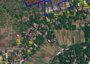  Plot For Sale in Mandrem
