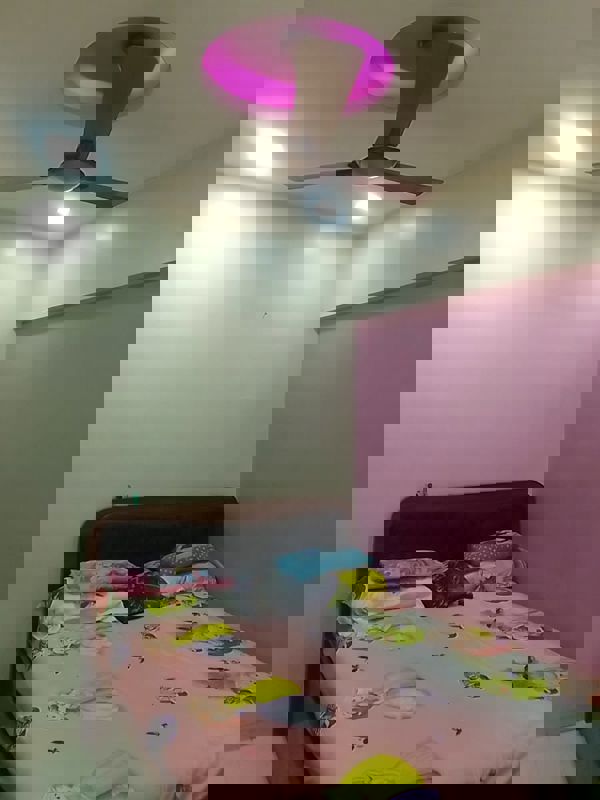 1 BHK 525 Sq.Ft. Apartment in Salasar Bluebell CHS