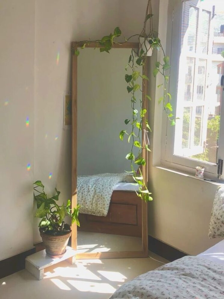 Room, vineet khand Pg For Girls In Vineet Khand 9736888