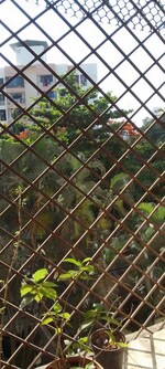 1 Rk  350 Sq.Ft. Apartment in Swastik Park Kiran Mill Colony