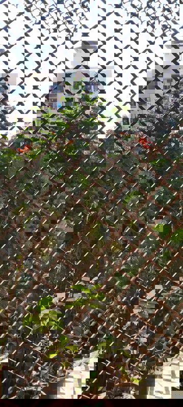 1 RkApartment For Sale in Swastik Park Kiran Mill Colony