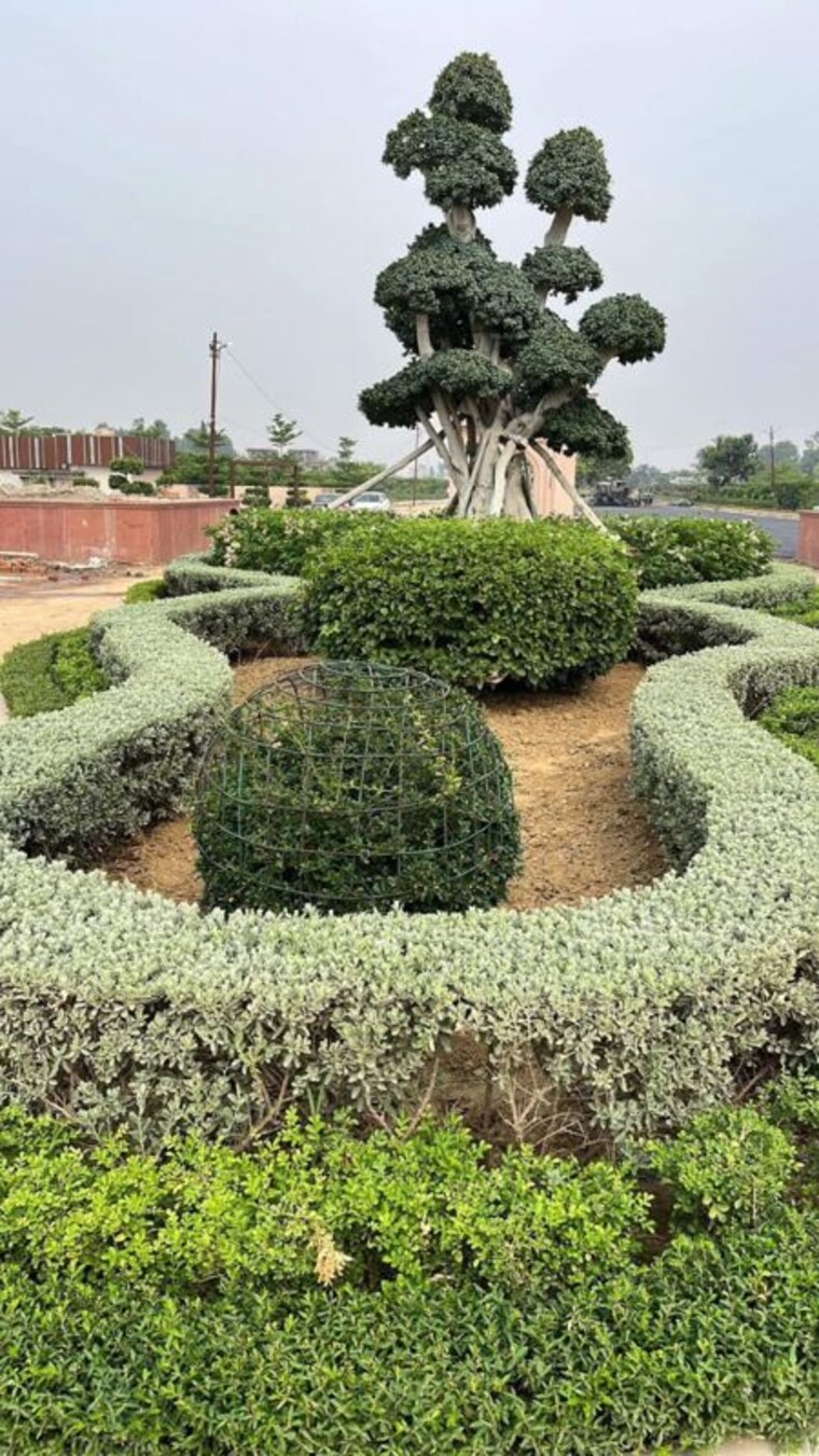 Garden, bbd-green-city 4 Bedroom 2450 Sq.Ft. Villa In Gomti Nagar Lucknow 9737035