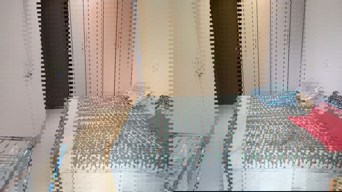 2 BHK Apartment For Rent in Orchid Tower