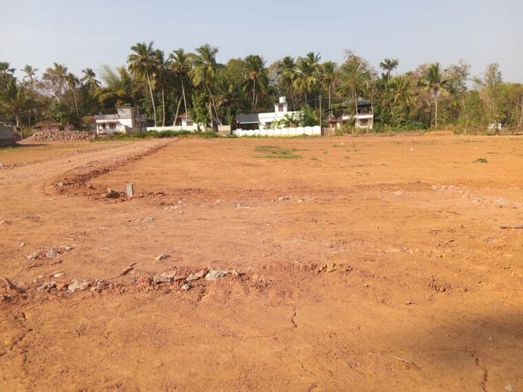 undefined, alathur  1744 Sq.Yd. Plot In Alathur Palakkad 9737583