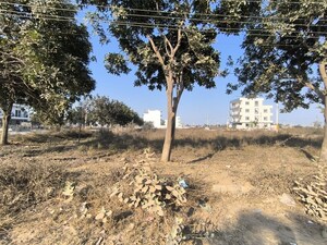 Plot Area in  Plot at Pataudi – for Sale
