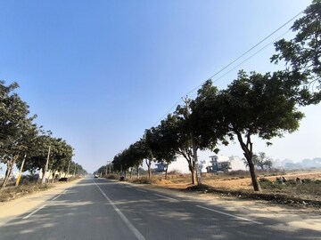 Plot Area in  Plot at Pataudi – for Sale