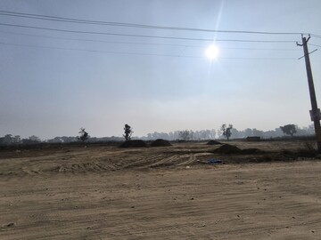  Plot For Sale in Pataudi