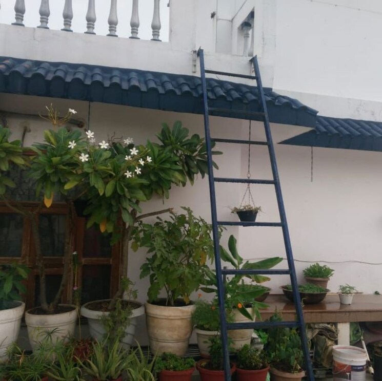 Exterior View, anamika-enclave 3 Bedroom 250 Sq.Yd. Builder Floor In Prem Nagar 2 Gurgaon 9737612