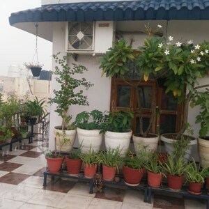 3 BHK Builder Floor – Exterior View View at Anamika Enclave, Prem Nagar 2 - for Rent