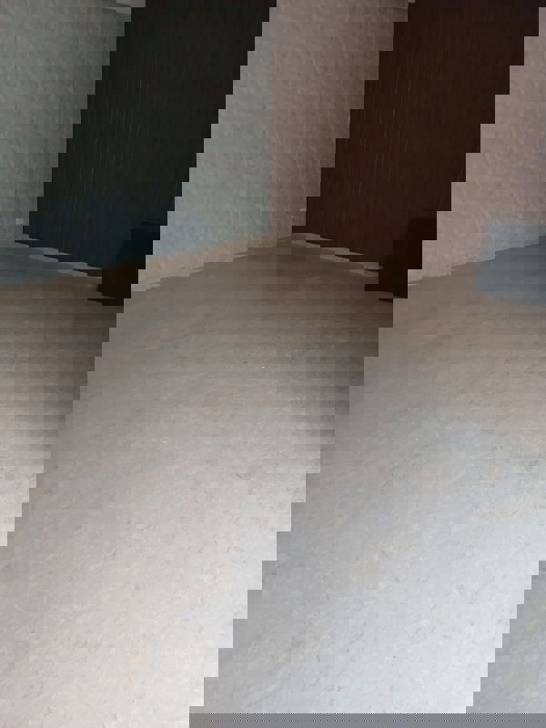 3 BHK + Pooja Room,Servant Room Builder Floor For Rent in Greater Kailash I