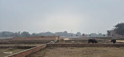Plot For Sale in Mohanlalganj