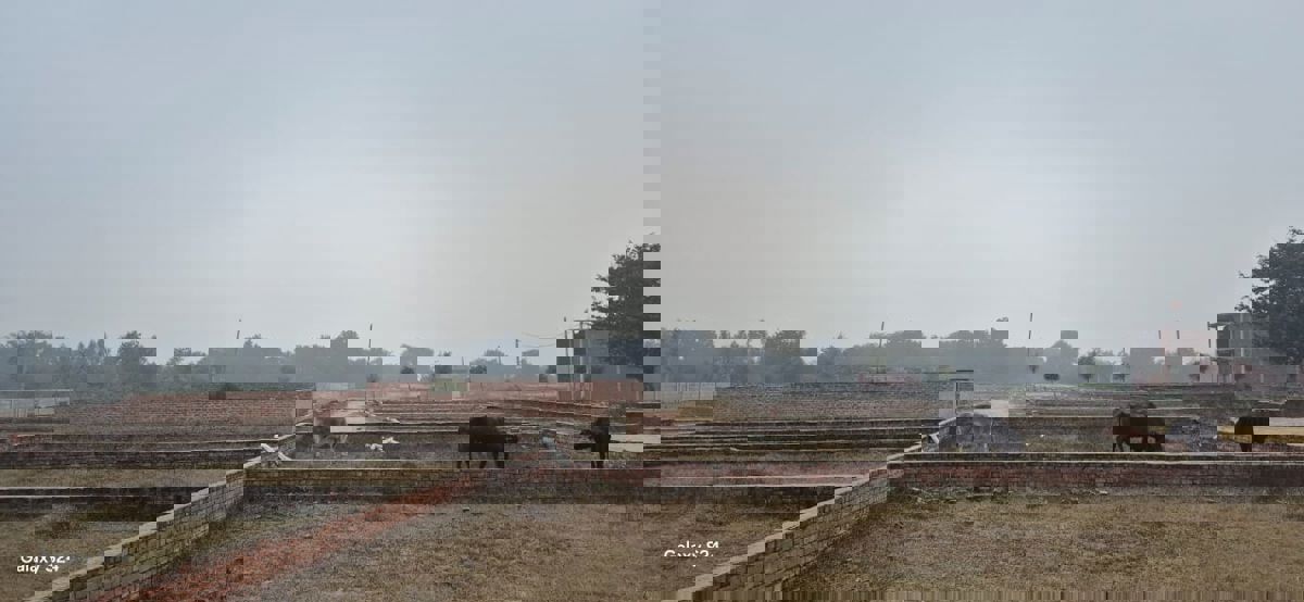 Plot For Sale in Mohanlalganj