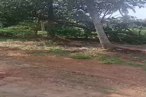 Plot Area in  Plot at Vazhuthacaud – for Sale