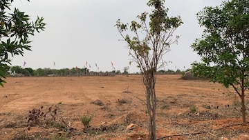 Plot Area in  Plot at Wave City, Wave City – for Sale