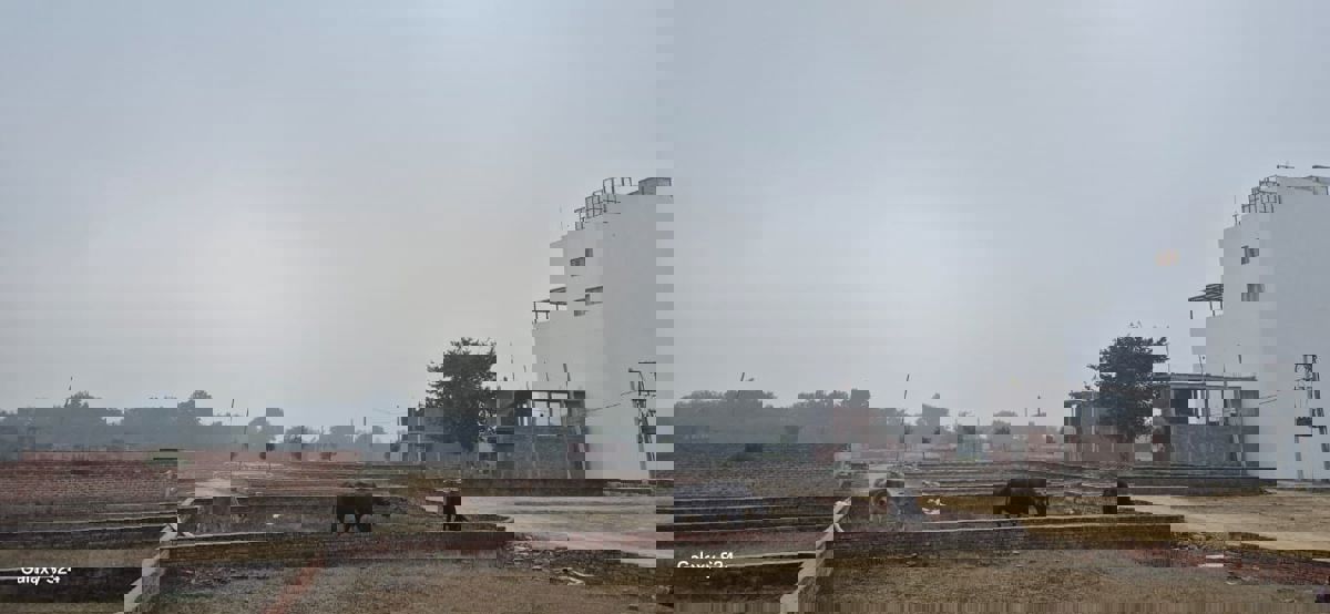 Plot For Sale in Mohanlalganj