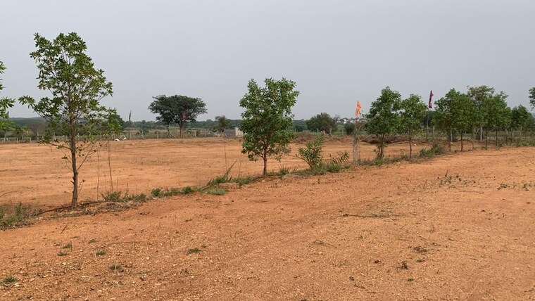 undefined, wave-city  365 Sq.Yd. Plot In Wave City Ghaziabad 9738815