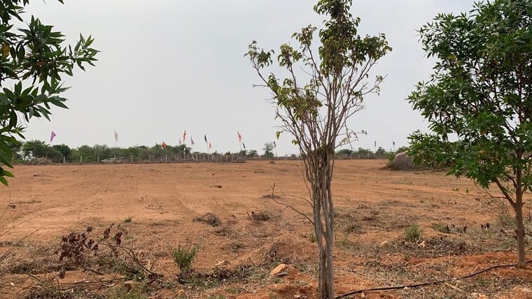 undefined, wave-city  365 Sq.Yd. Plot In Wave City Ghaziabad 9738815