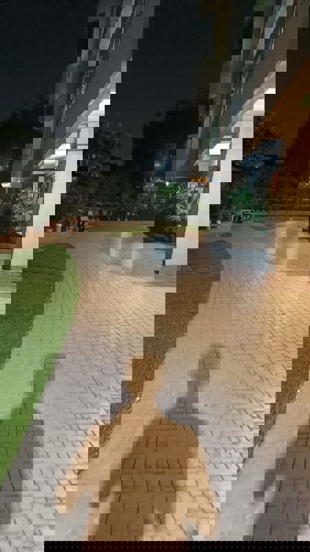 2 BHK Apartment For Rent in Bhavya Supreme Annexe