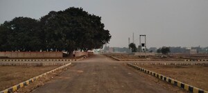 Plot Area in  Plot at Mohanlalganj – for Sale