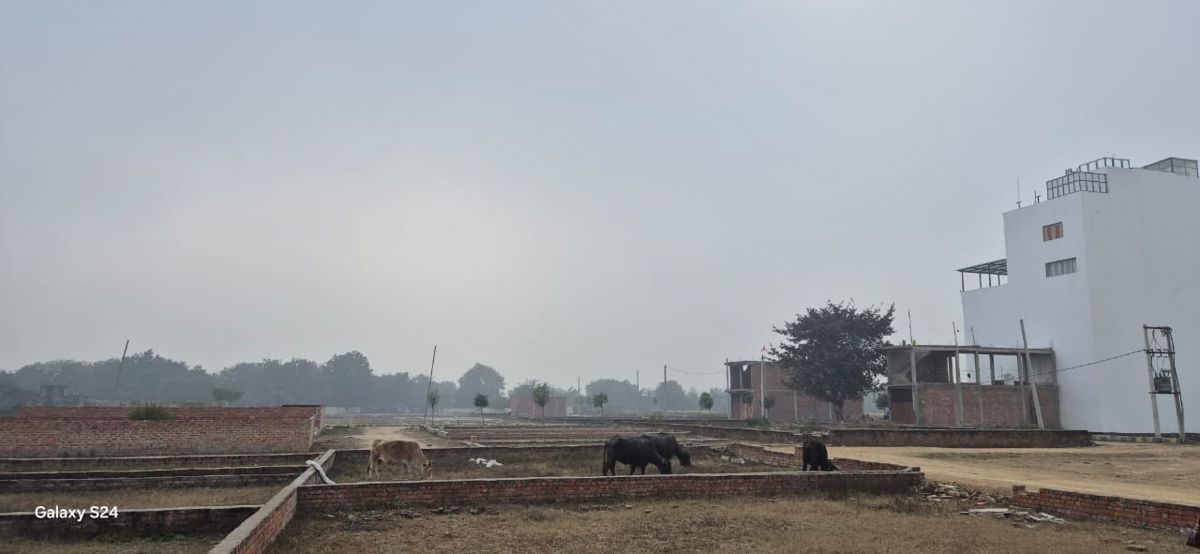 Plot For Sale in Mohanlalganj