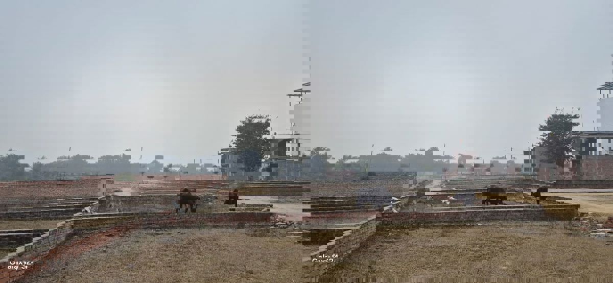 Plot For Sale in Mohanlalganj