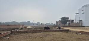 Plot Area in  Plot at Mohanlalganj – for Sale
