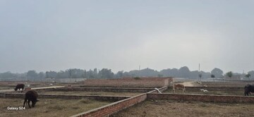 Plot Area in  Plot at Mohanlalganj – for Sale
