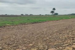 Plot For Sale in Kanchanbagh