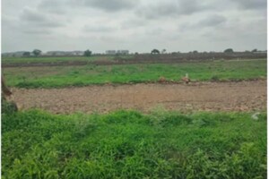 Plot Area in  Plot at Kanchanbagh – for Sale