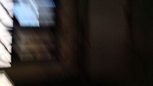  2.5 BHK Independent House at Sector 56 – for Rent