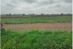 Plot For Sale in Kanchanbagh