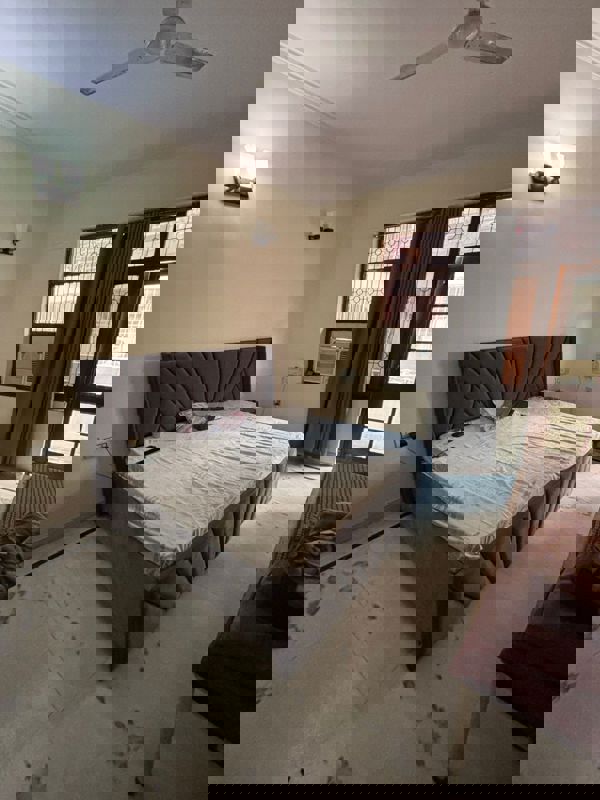 3 BHK Builder Floor For Rent in Ardee City