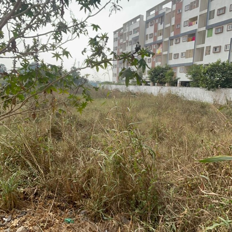 undefined, kaza  375 Sq.Yd. Plot In Kaza Guntur 9740475