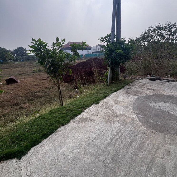 undefined, kaza  375 Sq.Yd. Plot In Kaza Guntur 9740475