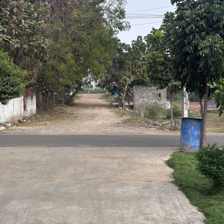 Garden, kaza  375 Sq.Yd. Plot In Kaza Guntur 9740475