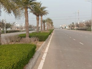 Plot Area in  Plot at Mullanpur – for Sale