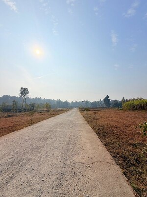 Plot Area in  Plot at Shimla Bypass Road – for Sale